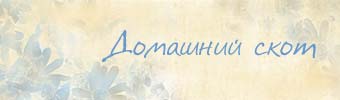 Домашний скот